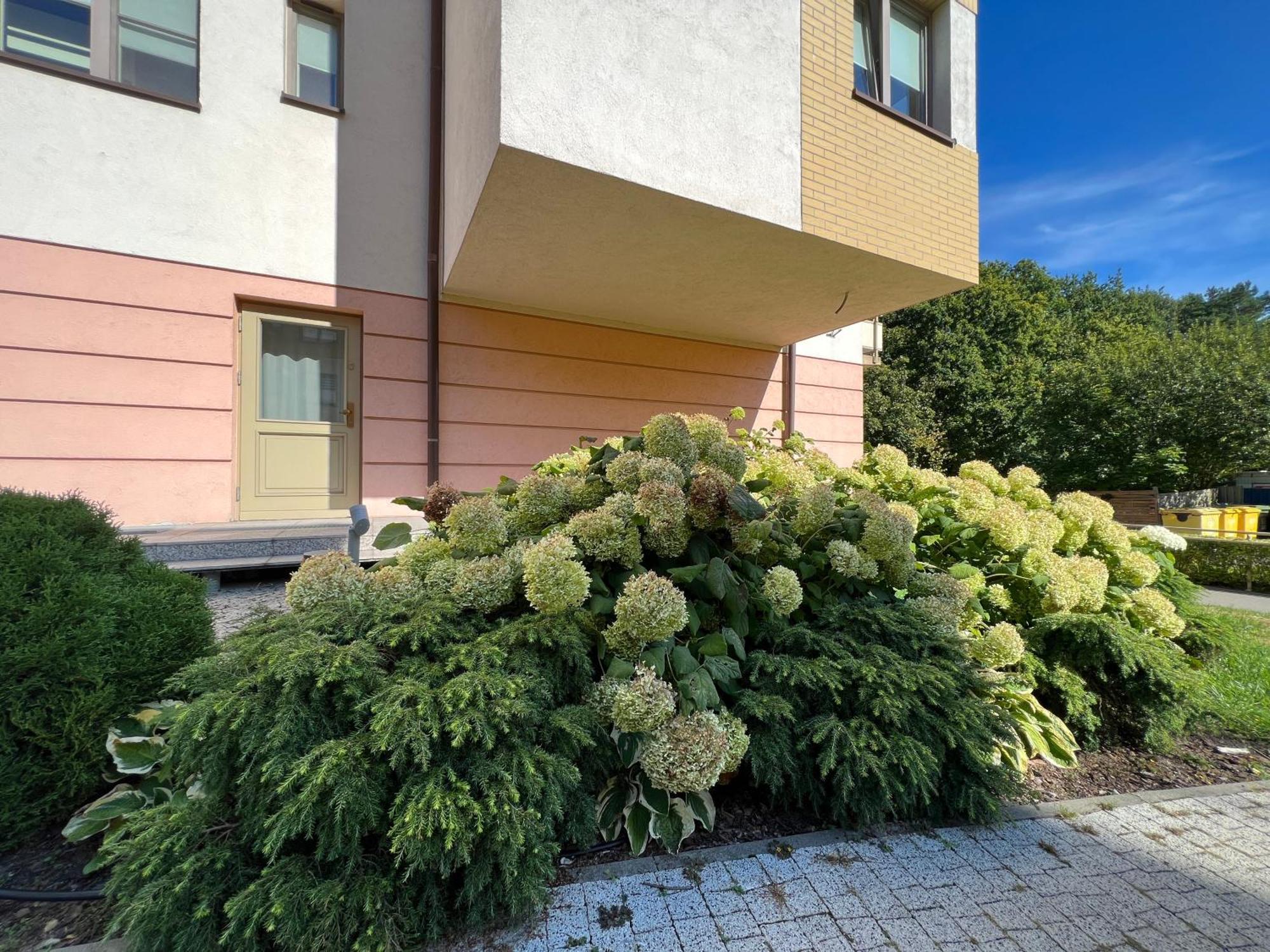 Zdrojowa Sun Apartment سفينويتشي المظهر الخارجي الصورة
